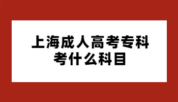 上海成考专科考什么科目
